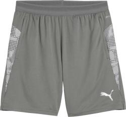 PUMA Teamcup Training Shorts (65917113)
