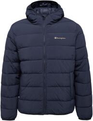 Champion Hooded (221745-bs501)