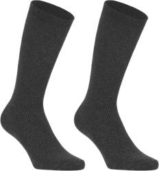 Scholl Bamboo regular 2p 39-42
