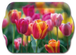 Ach Impex uzsonnás tálca tulipán 21 x 14.3 x 2 cm (M40377)