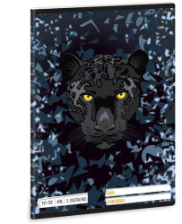 Ars Una Füzet vonalas ARS UNA A/5 32 lapos 12-32 3. osztályos Black Panther (53605290) - fotoland