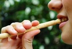  Miswak kézi túra fogkefe barna, biológiailag lebomló (4260263292666)