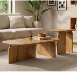 IV Interior Concept Set 2 masute din lemn de mango GATSBY 100cm/45cm (A-47891 VC) Masa de cafea