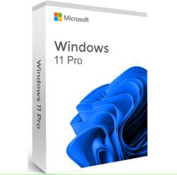 Microsoft MicrosoftÂŽ Windows 11 Pro, 64-bit, Engleza, USB (HAV-00163)