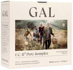 GAL UC-II® Porc-komplex porc és ízületvédő (60 kapszula)