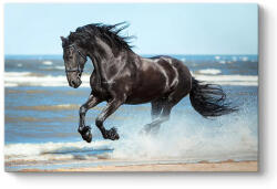 TopMebel " Black Horse" TopMebel картина на платно дигитален печат 100x70x3cm