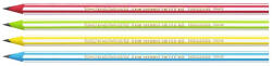 BIC Grafitceruza BIC Eco Evolution 646 HB hatszögletű csíkos (918487) - eztkapdki