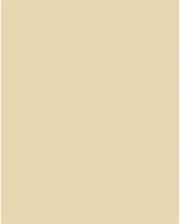  Dekorkarton, 2 oldalas, 50x70cm, 220 g, 10 lap, FOLIA, bézs (61221010)
