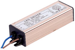 2r CAPRI DRIVER 40W 600mA 170-250V (CAPRI DRIVER 40W 600MA) - eztkapdki