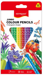 Keyroad Színes ceruza készlet vastag, háromszögletű Keyroad Jumbo 12 klf. szín (KR971349)