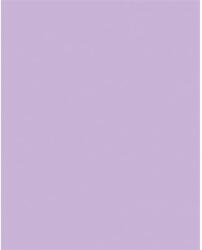  Dekorkarton, 2 oldalas, 50x70cm, 220 g, 10 lap, FOLIA, orgonalila (61221031)