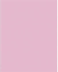  Dekorkarton, 2 oldalas, 50x70cm, 220 g, 10 lap, FOLIA, halvány rózsaszín (61221026) - eztkapdki