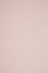 Sirio Color Hârtie decorativă colorată simplă Sirio Color 115g Nude roz pudră 70x100 R250 1 buc