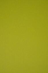 Keaykolour Hârtie decorativă colorată ecologică Keaykolour 300g Kiwi verde 70x100 R100 1 buc