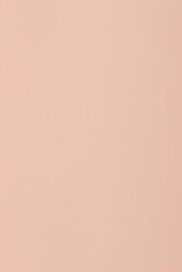 Burano Hârtie decorativă colorată simplă Burano 250g Rosa B10 roz deschis buc. 10A5