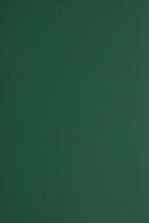 Plike Hârtie decorativă colorată simplă Plike 330g Green verde închis buc. 10A5
