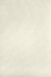 Aster Laid Hârtie decorativă colorată cu nervuri texturate Aster Laid 120g Ivory ecru 70x100 R200 1 buc