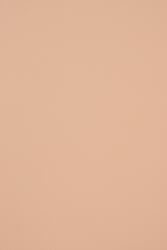 Woodstock Hârtie decorativă netedă colorată ecologică Woodstock 260g Cipria roz deschis pachet 10A4