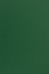 Sirio Color Hârtie decorativă colorată simplă Sirio Color 170g Foglia verde închis buc. 20A4
