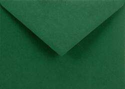 Sirio Color Plicuri decorative colorate C6 11, 4x16, 2 NK Sirio Color Foglia verde închis 115g