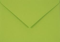 Sirio Color Plicuri decorative colorate C6 11, 4x16, 2 NK Sirio Color Lime verde deschis 115g