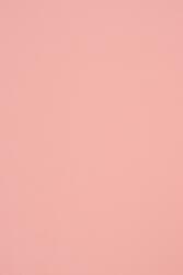Woodstock Hârtie ecologică Woodstock Rosa 140g 70x100