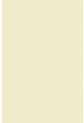 Olin Hârtie simplă decorativă Olin 120g Regular Soft Cream ecru 72x102 1 buc