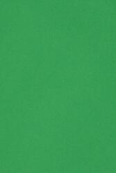 Burano Hârtie decorativă colorată simplă Burano 250g Verde Bandiera B60 verde buc. 20A4