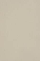 Burano Hârtie decorativă colorată simplă Burano 250g B12 Grigio gri 70x100 R125 1 buc