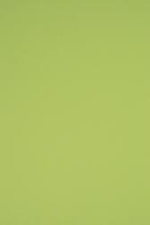 Rainbow Hârtie decorativă colorată simplă Rainbow 230g R74 verde deshis buc. 20A4