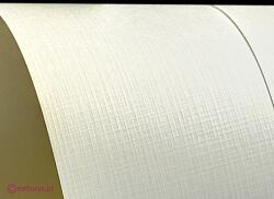 Aster Hârtie decorativă texturată Aster 246g Grilă ecru buc. 100A4
