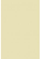 Splendorgel Hârtie decorativă simplă Splendorgel 100g Avorio 71x100 R250 1 buc