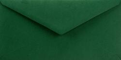 Sirio Color Plicuri decorative colorate DL 11x22 NK Sirio Color Foglia verde închis 115g