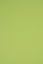 Rainbow Hârtie decorativă colorată simplă Rainbow 230g R74 verde deshis buc. 10A5
