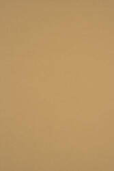 Sirio Color Hârtie decorativă colorată simplă Sirio Color 115g Bruno maro deshis 70x100 R250 1 buc