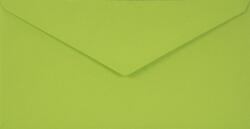 Sirio Color Plicuri decorative colorate DL 11x22 NK Sirio Color Lime verde deschis 115g