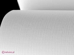 Aster Hârtie decorativă texturată Aster 246g Grilă alb buc. 100A4