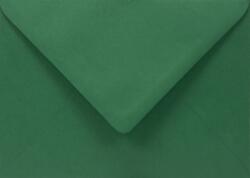 Sirio Color Plicuri decorative colorate B6 12, 5x17, 5 NK Sirio Color Foglia verde închis 115g