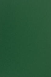 Sirio Color Hârtie decorativă colorată simplă Sirio Color 115g Foglia verde închis 70x100 R250 1 buc