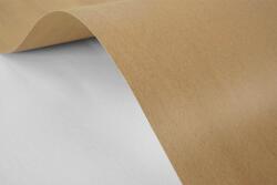  Hârtie ecologică Kraft EKO 225g maro 61x86