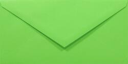 Rainbow Plicuri decorative colorate DL 11x22 NK Rainbow R76 verde 80g