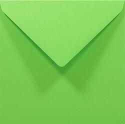 Rainbow Plicuri decorative colorate pătrate K4 14x14 NK Rainbow R76 verde 80g