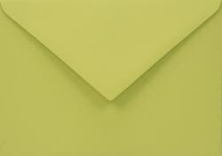Woodstock Plicuri decorative colorate ecologică C6 11, 4x16, 2 NK Woodstock Pistacchio verde 110g