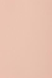 Burano Hârtie decorativă colorată simplă Burano 250g Rosa B10 roz deschis buc. 20A4