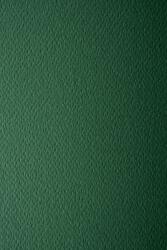 Prisma Hârtie decorativă colorată texturată Prisma 220g Pino verde închis buc. 10A4
