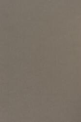 Sirio Color Hârtie decorativă colorată simplă Sirio Color 115g Pietra gri 70x100 R250 1 buc