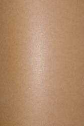Aster Metallic Hârtie decorativă colorată metalizată Aster Metallic 300g Rust. Coop Dust auriu buc. 10A4