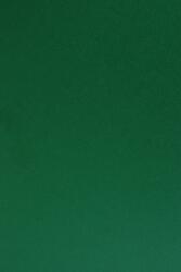Sirio Color Hârtie decorativă colorată simplă Sirio Color 210g Foglia verde închis buc. 25A4