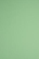 Woodstock Hârtie Woodstock Verde 170g 70x100