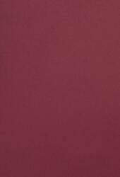 Malmero Hârtie decorativă simplă colorată Malmero Palissandre 300g maro 70x100 R100